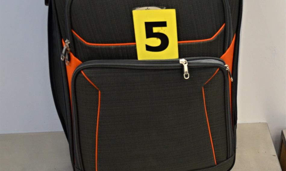 2019-11-11-1249foto 2.JPG